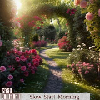 Slow Start Morning