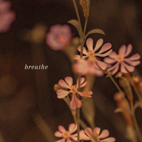 breathe | Boomplay Music