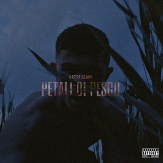 PETALI DI PESCO ft. Funkyman lyrics | Boomplay Music