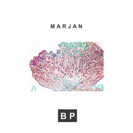 Marjan | Boomplay Music