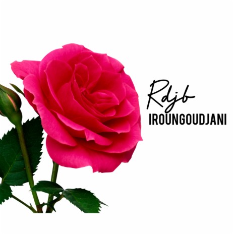 IROUNGOUDJANI | Boomplay Music