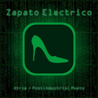 Zapato eléctrico