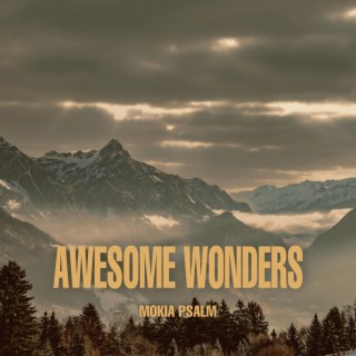 Awesome wonders lyrics | Boomplay Music