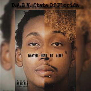 D.A.G V. State Of Florida