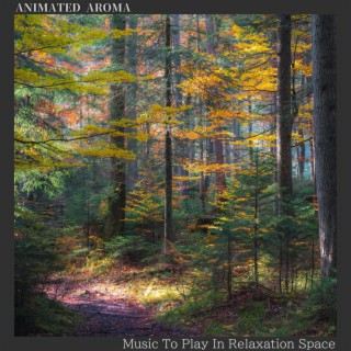 Music To Play In Relaxation Space