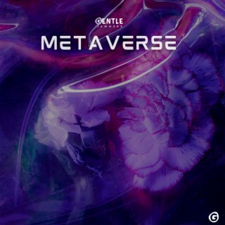 Metaverse