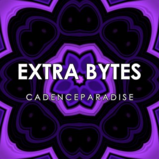 Extra Bytes