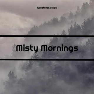 Misty Mornings