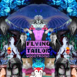 Flying Tailor
