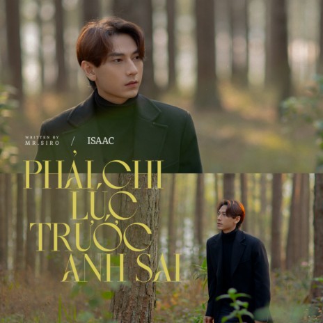 Phải Chi Lúc Trước Anh Sai | Boomplay Music