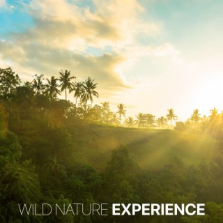 Wild Nature Experience