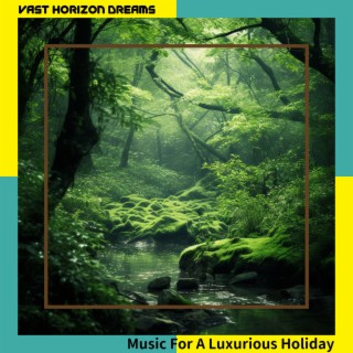 Music For A Luxurious Holiday