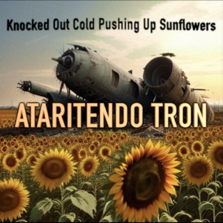 Knocked Out Cold Pushing Up Sunflowers (Instrumental)