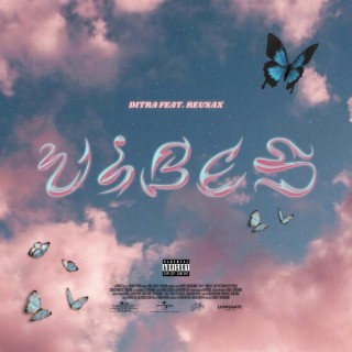 Vibes ft. Reusax lyrics | Boomplay Music