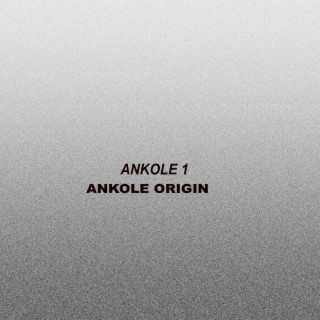 Ankoleorigin