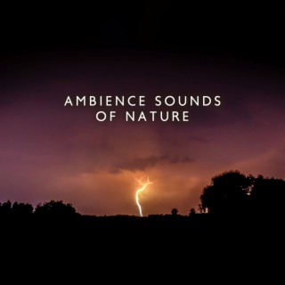 Ambience Sounds of Nature: Thunderstorm, Rain and Hurricane