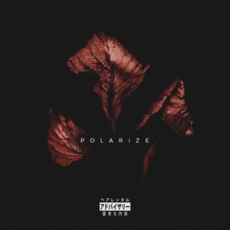 POLARIZE ft. Lana Volkov | Boomplay Music