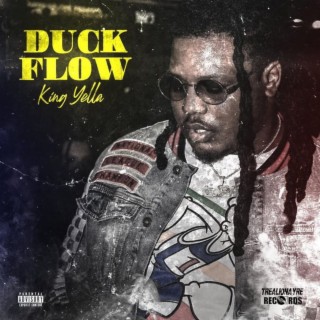 duck flow