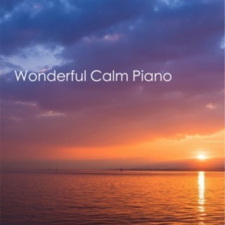 Wonderful Calm Piano