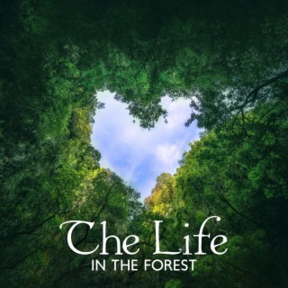 The Life In The Forest