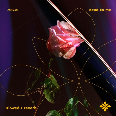 dead to me - slowed + reverb ft. twilight & Tazzy | Boomplay Music