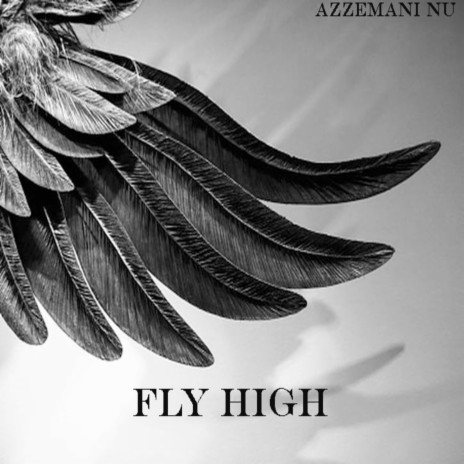 FLY HIGH | Boomplay Music