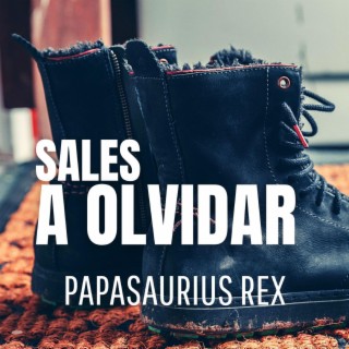 Sales a olvidar