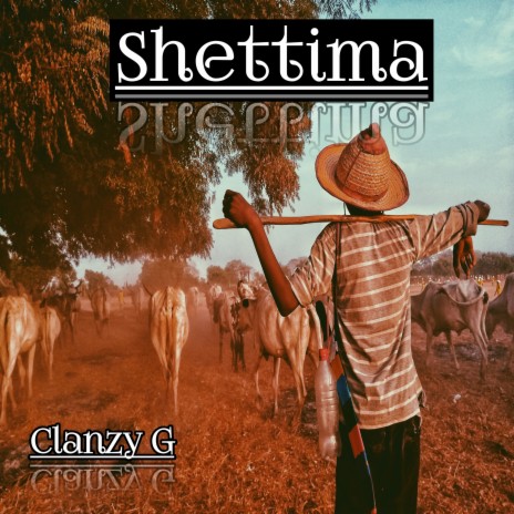 Shettima | Boomplay Music