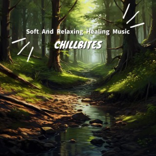 Soft And Relaxing Healing Music