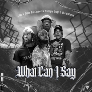 What Can I Say? (feat. Ether Da Connect, Shotgun Suge & Chelo Chelo)