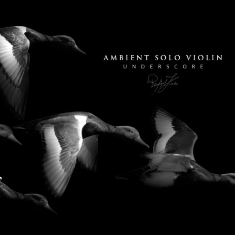 Ambient Solo Violin Underscore | Boomplay Music