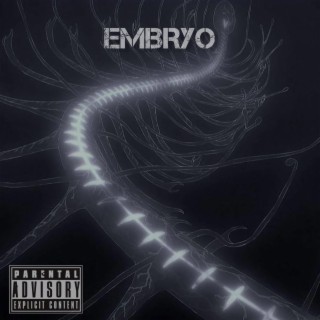 EMBRYO