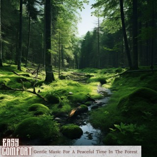 Gentle Music For A Peaceful Time In The Forest