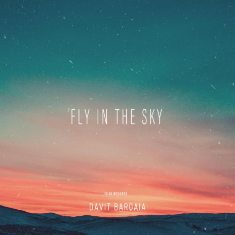 Fly In The Sky | Boomplay Music