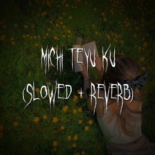 michi teyu ku (overflowing) (slowed + reverb)
