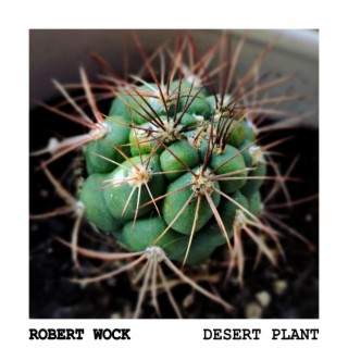 Desert Plant