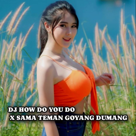 DJ HOW DO YOU DO X SAMA TEMAN GOYANG DUMANG | Boomplay Music