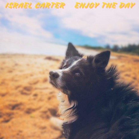 Enjoy the Day | Boomplay Music