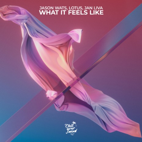 What It Feels Like ft. Lotus & Jan Liva | Boomplay Music