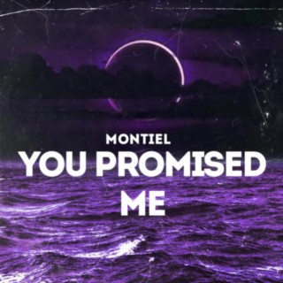 YOU PROMISED ME