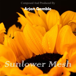 Sunflower Mesh