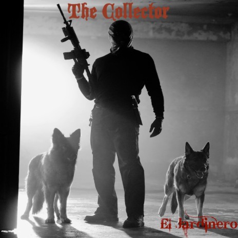 The Collector | Boomplay Music