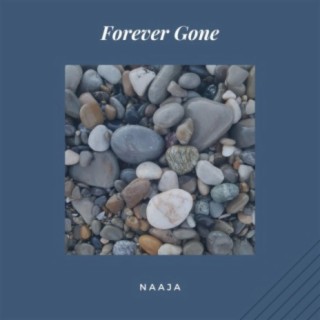 Forever Gone lyrics | Boomplay Music