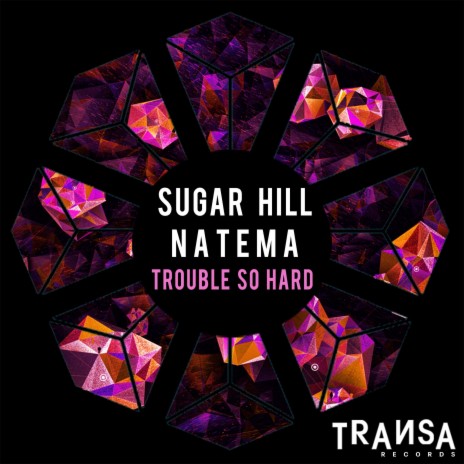 Trouble So Hard ft. Natema | Boomplay Music