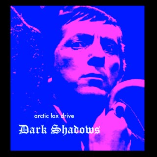 Dark Shadows lyrics | Boomplay Music