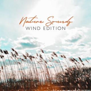 Nature Sounds: Wind Edition, ASMR, Head Clearing