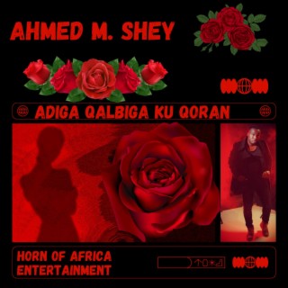 Ahmed M Shey