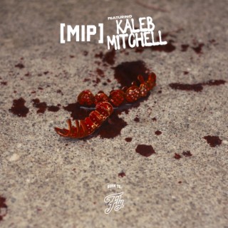 M.I.P. (Remix) ft. Kaleb Mitchell lyrics | Boomplay Music