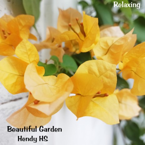 Beautiful Garden | Boomplay Music