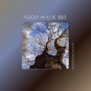 Shop Walk 001